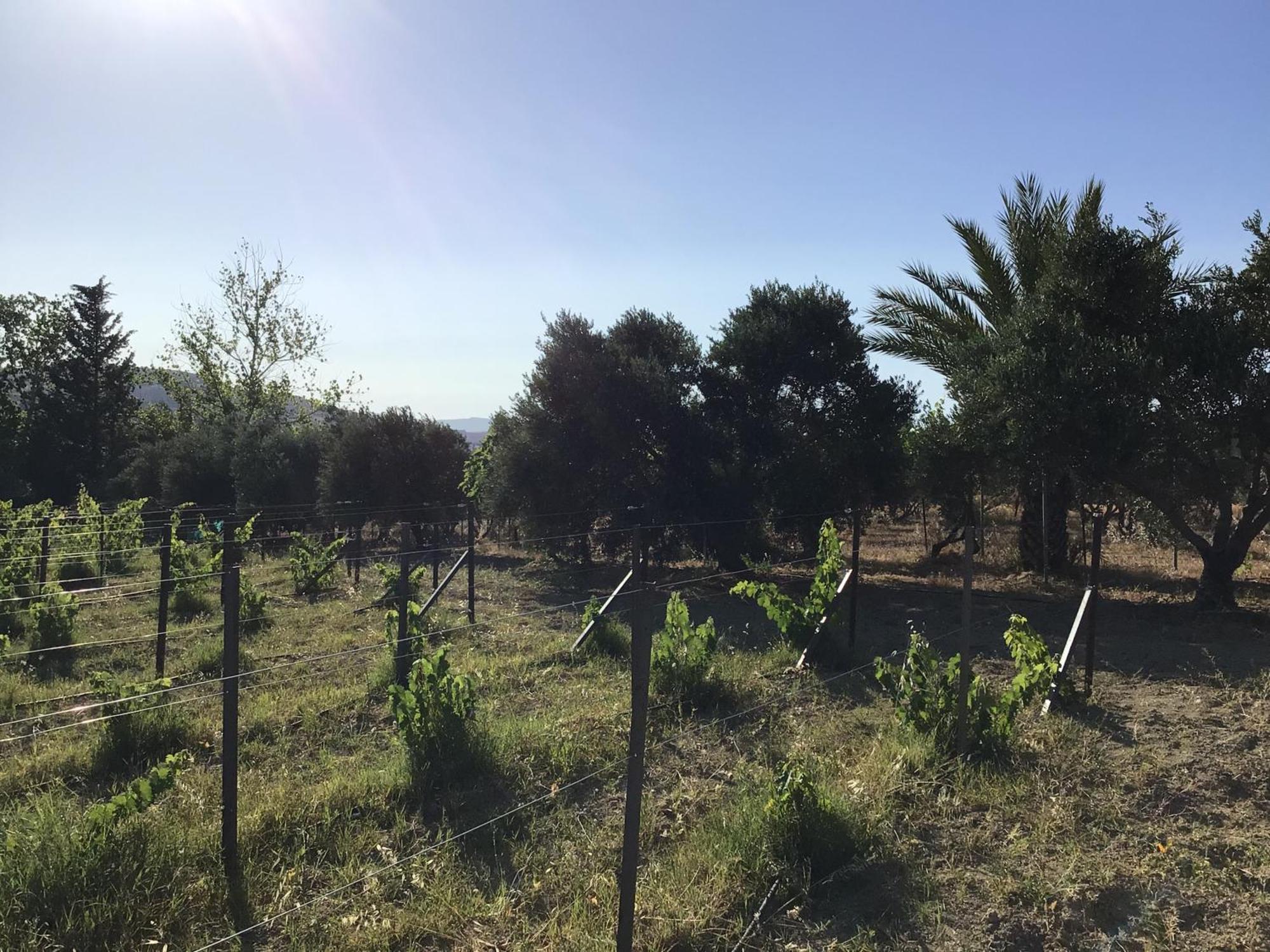 Pervolaris Cottages 1 Goudhi エクステリア 写真