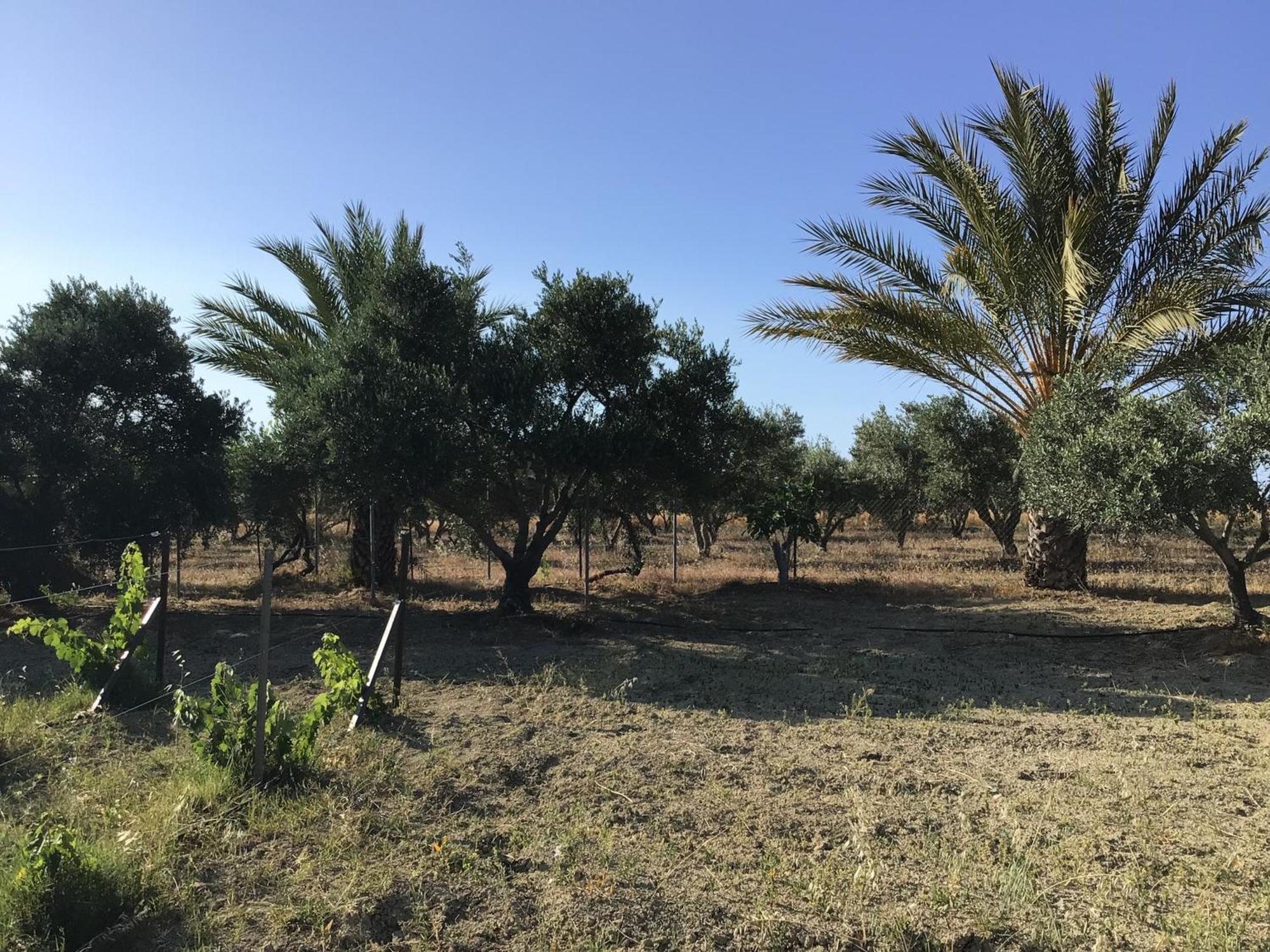 Pervolaris Cottages 1 Goudhi エクステリア 写真